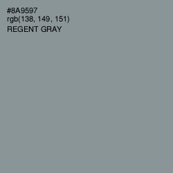 #8A9597 - Regent Gray Color Image